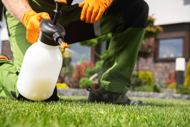 Best Termite Control Services  in French Island, WI
