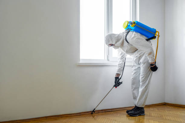 Best Local Pest Control Services  in French Island, WI