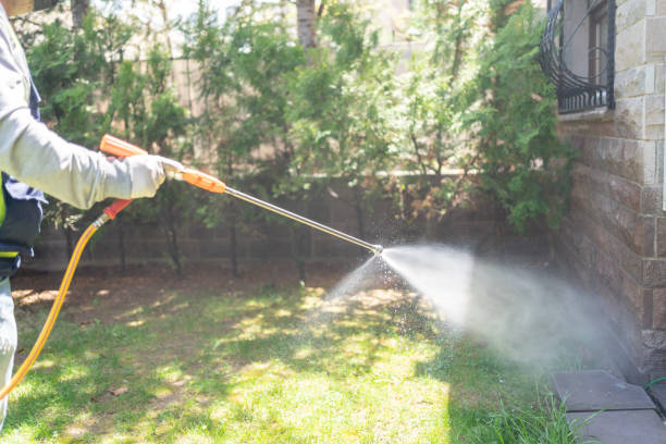 Best Cockroach Control Services  in French Island, WI