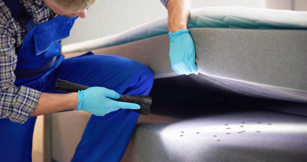 Best Mosquito Control Services  in French Island, WI