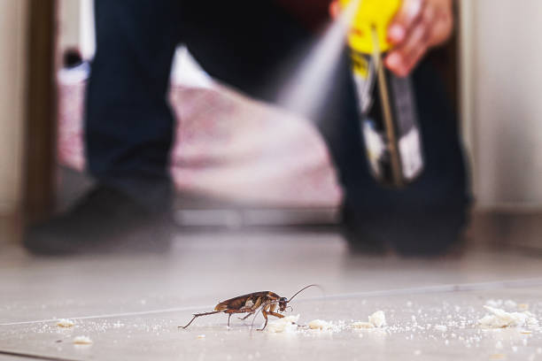 Best Affordable Pest Control Services  in French Island, WI