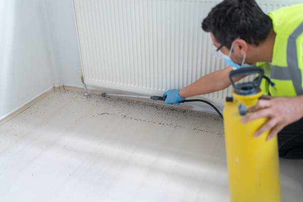 Best Pest Removal Services  in French Island, WI