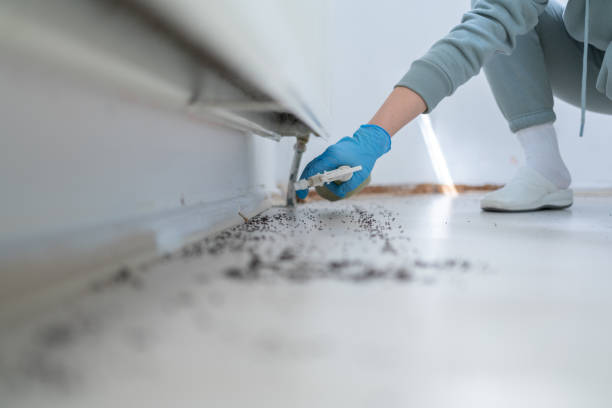 Best Best Pest Control Companies  in French Island, WI